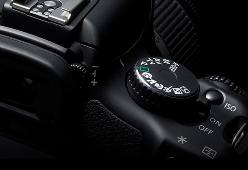 The Camera Exchange, Inc.
